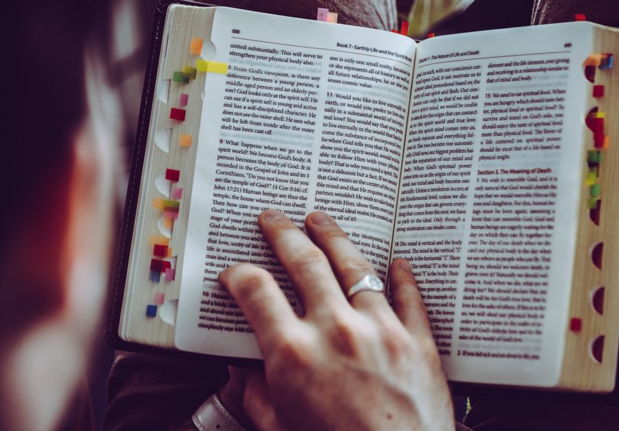 consumer reading fine print